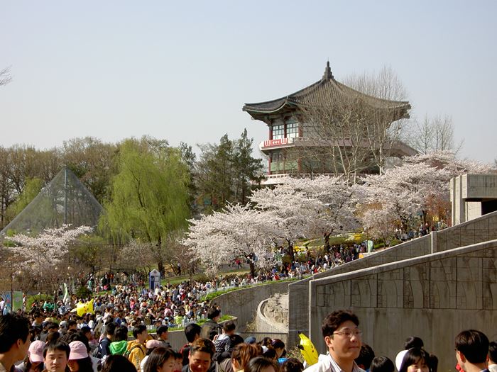 Spring at Seoul Children's Grand Park
