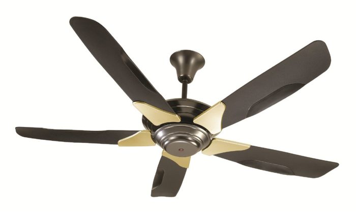 Is fan death for real?