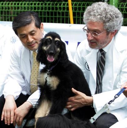 World's first cloned dog