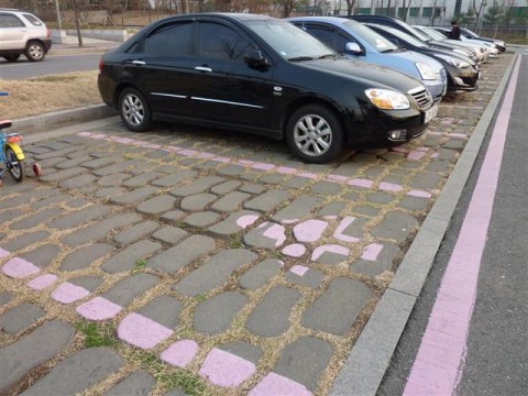 Pink parking spots