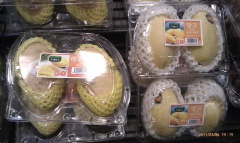 IMAG0280 Mangoes from Thailand (left) and the Philippines (right) sold in Korean supermarkets.