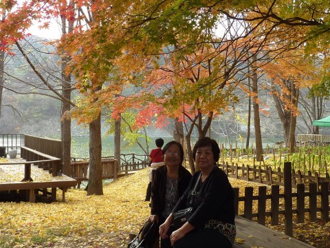 P1120521 Autumn is a lovely time to visit Namiseom