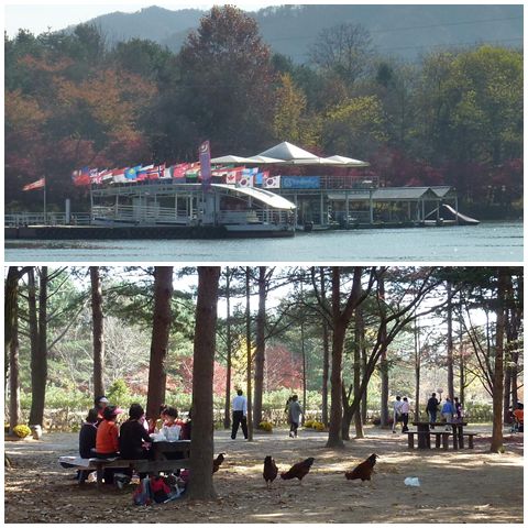 nami-3 A place where women and chickens mingle ;p