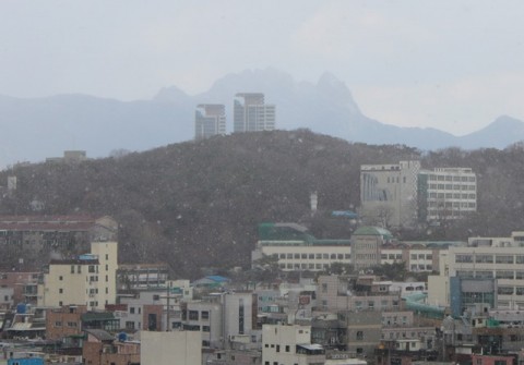 Spring snow in Seoul