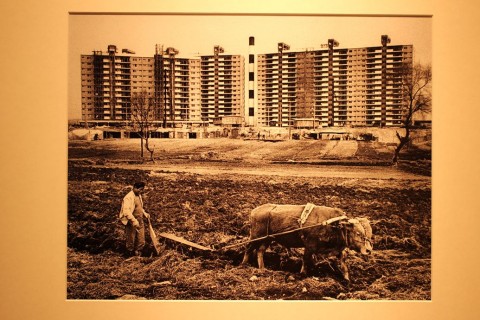 Seoul Photo Festival