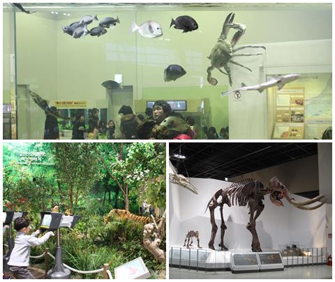 Aquariums, a mini-jungle and dinosaur bones!