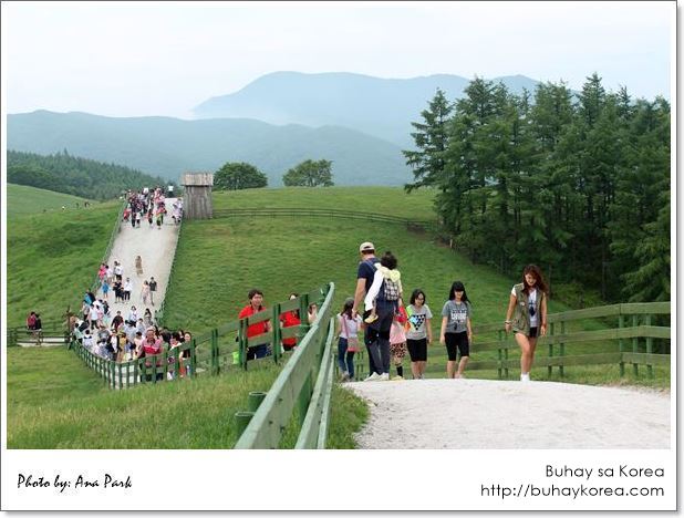 The 1.2 km trail ~