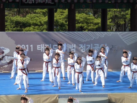 Seoul Taekwondo Young taekwondo masters