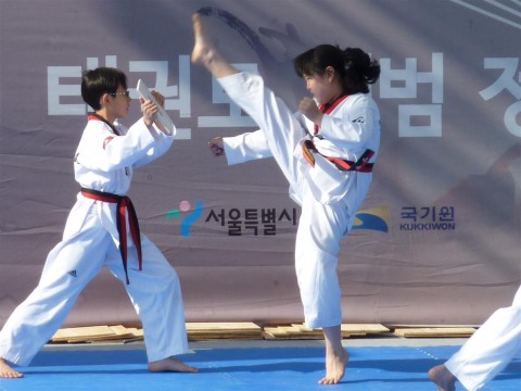 Seoul Taekwondo Girls can kick too!