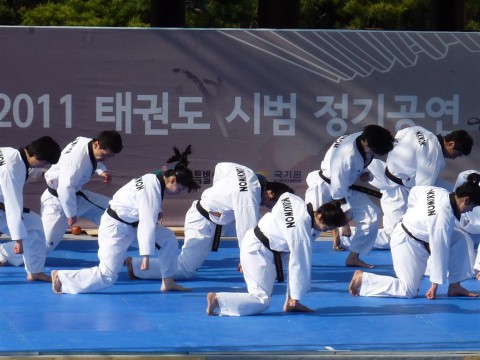 Seoul Taekwondo Taekwondo masters of Kukkiwon