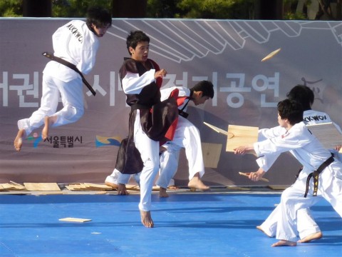 Seoul Taekwondo High flying kicks and wood breaking stunts