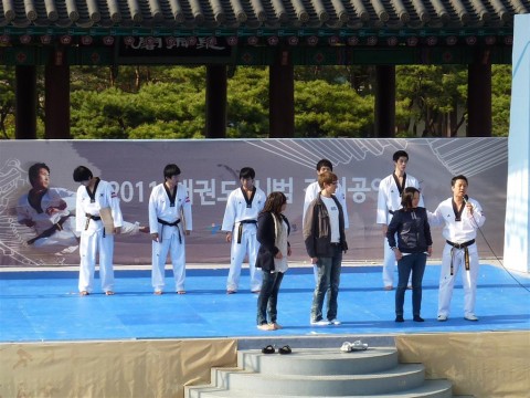 Seoul Taekwondo Members of the audience also got to break woods