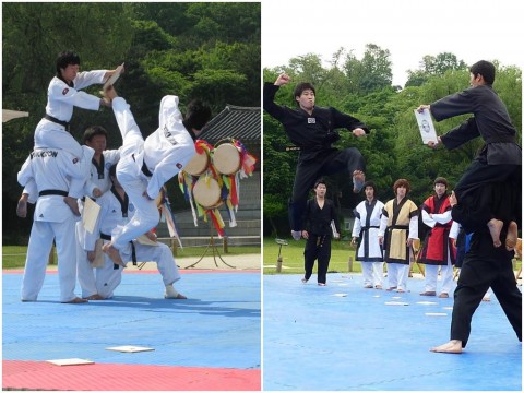 Seoul Taekwondo L- Kukkiwon in 2009 and R- Black Tigers in 2010