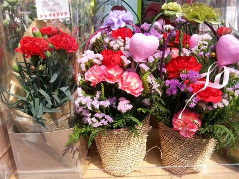 Carnations are offered to parents on this special occasion.